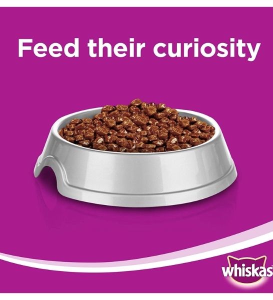 Whiskas Tender Bites Beef in Gravy Pouch Pack 80g-3