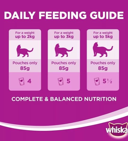 Whiskas Tender Bites Beef in Gravy Pouch Pack 80g-4