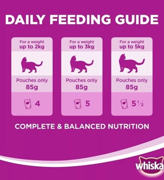 Whiskas Tender Bites Chicken in Gravy Pouch Pack 80g-4